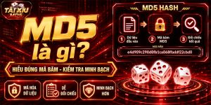 Tìm hiểu mã MD5 là gì